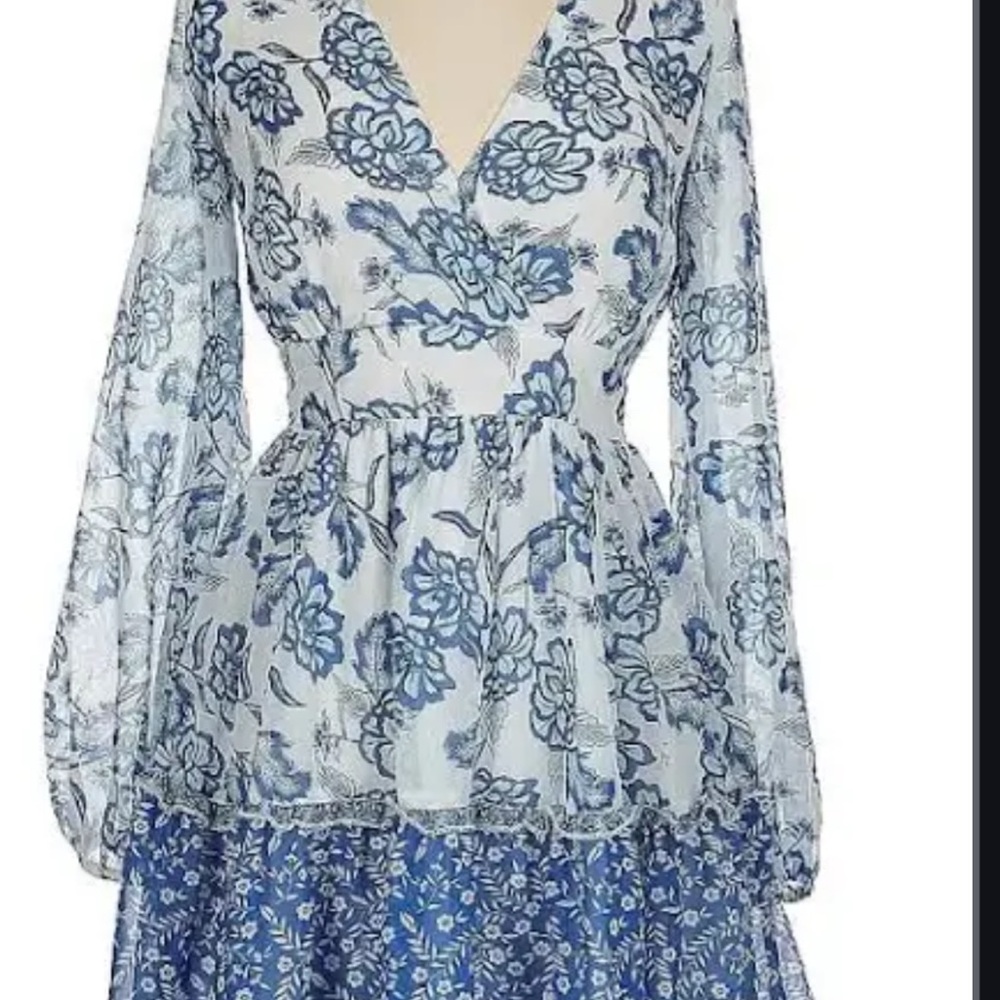 Japna Floral Blue and White Dress